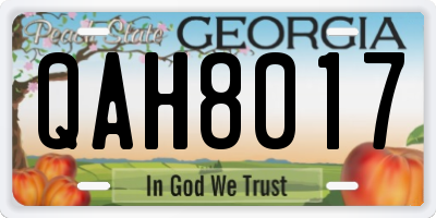 GA license plate QAH8017