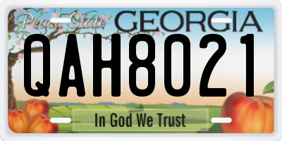 GA license plate QAH8021