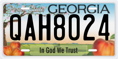 GA license plate QAH8024