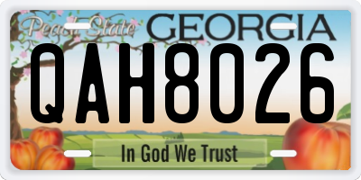 GA license plate QAH8026