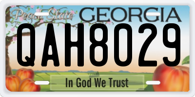 GA license plate QAH8029