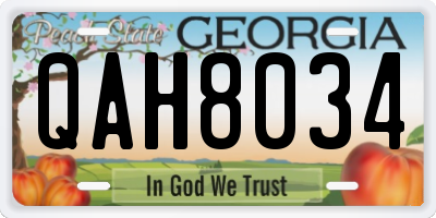 GA license plate QAH8034
