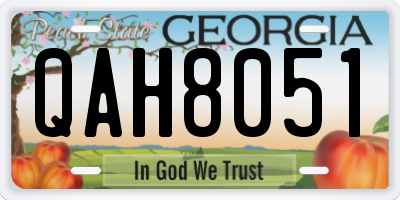 GA license plate QAH8051