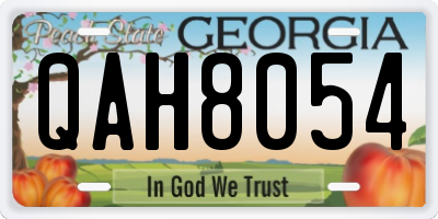 GA license plate QAH8054