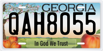 GA license plate QAH8055