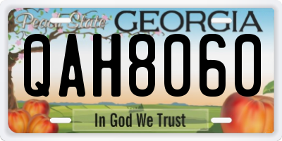 GA license plate QAH8060