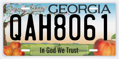 GA license plate QAH8061