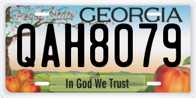 GA license plate QAH8079