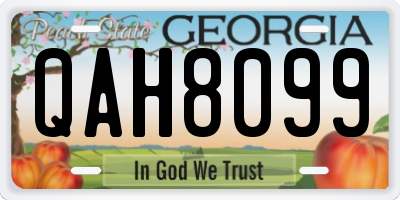 GA license plate QAH8099
