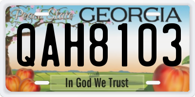 GA license plate QAH8103