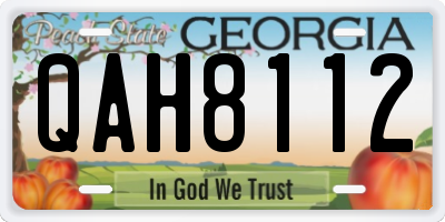 GA license plate QAH8112