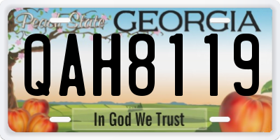 GA license plate QAH8119