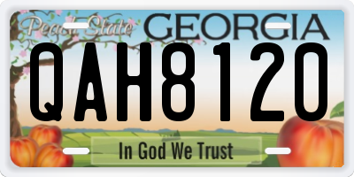 GA license plate QAH8120