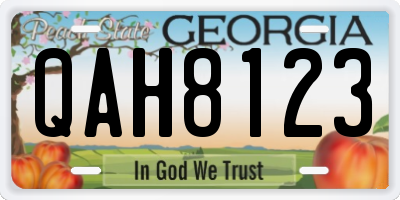 GA license plate QAH8123