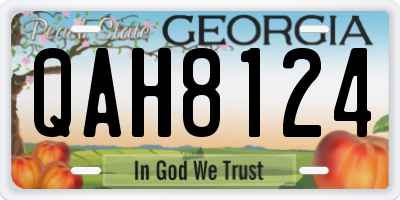 GA license plate QAH8124