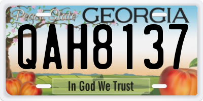 GA license plate QAH8137