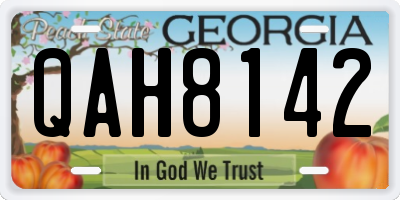 GA license plate QAH8142