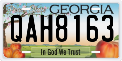 GA license plate QAH8163