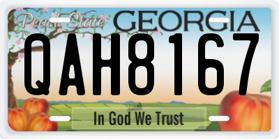 GA license plate QAH8167