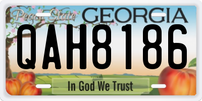 GA license plate QAH8186