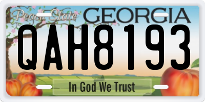 GA license plate QAH8193