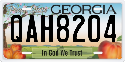 GA license plate QAH8204