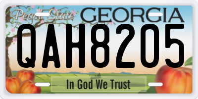 GA license plate QAH8205