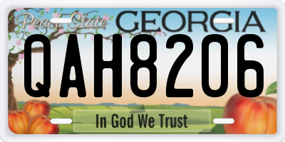 GA license plate QAH8206