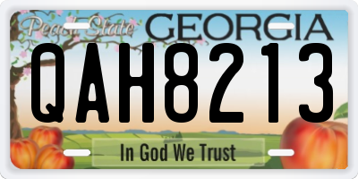 GA license plate QAH8213