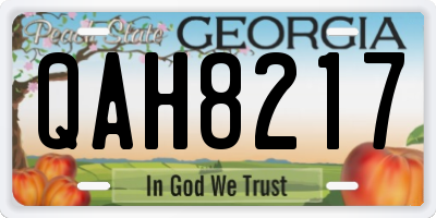 GA license plate QAH8217