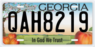 GA license plate QAH8219