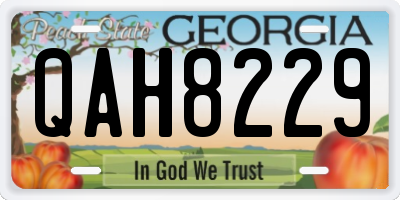 GA license plate QAH8229
