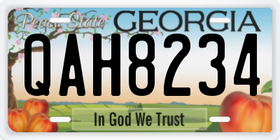 GA license plate QAH8234