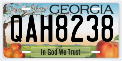 GA license plate QAH8238