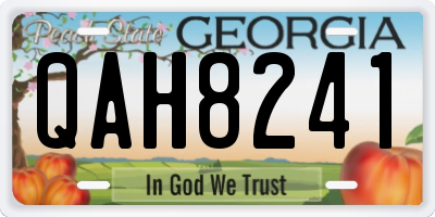GA license plate QAH8241