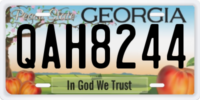 GA license plate QAH8244
