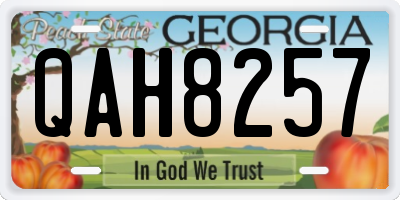 GA license plate QAH8257