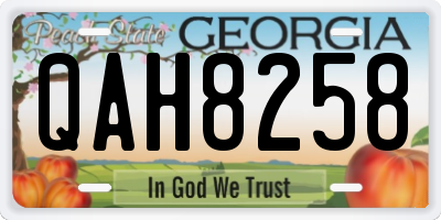GA license plate QAH8258