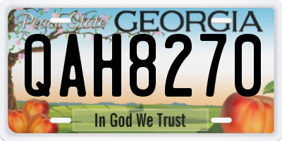 GA license plate QAH8270