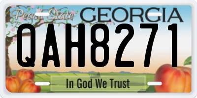 GA license plate QAH8271