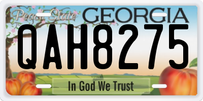 GA license plate QAH8275