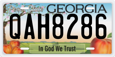 GA license plate QAH8286