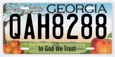 GA license plate QAH8288