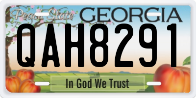 GA license plate QAH8291