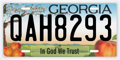 GA license plate QAH8293