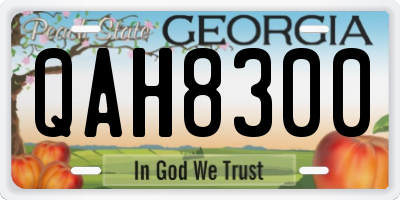 GA license plate QAH8300
