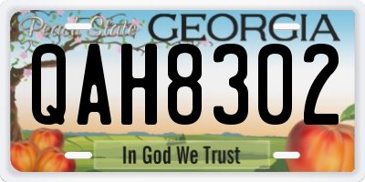 GA license plate QAH8302