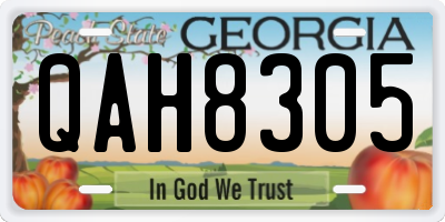 GA license plate QAH8305