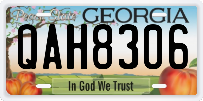 GA license plate QAH8306