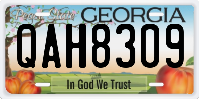 GA license plate QAH8309